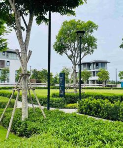 Swanbay Oasia – Bán Biệt thự Đơn lập Garden Villa - 02