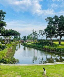 Swanbay Oasia – Bán Biệt thự Đơn lập Garden Villa - 04